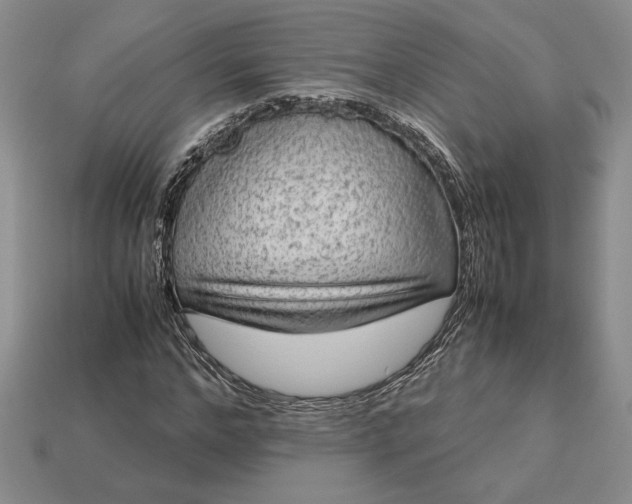 X0000113140968200909181726