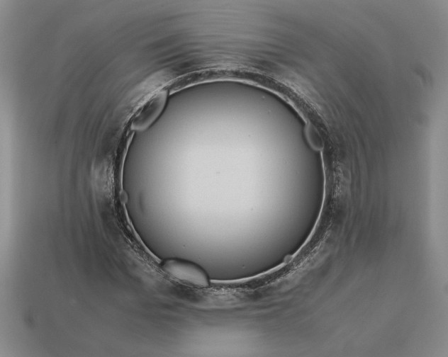 X0000113140969200909181726