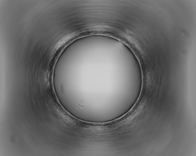 X0000113140970200909181726