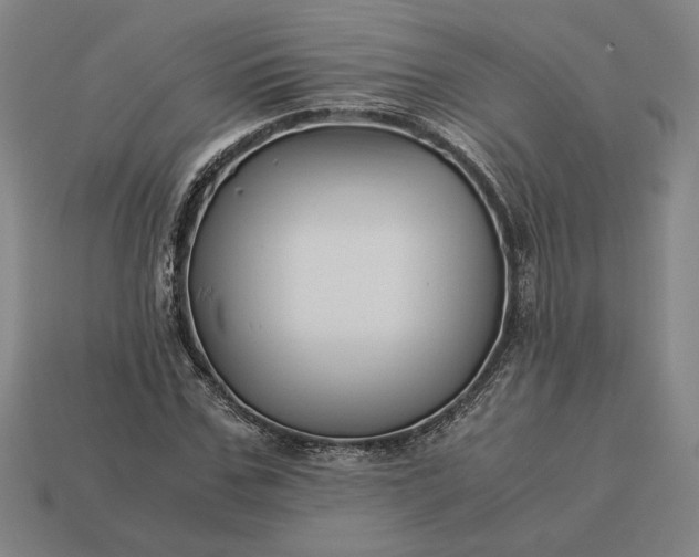 X0000113140971200909181726