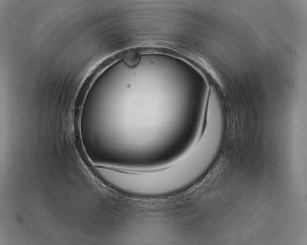 X0000113140972200909181726