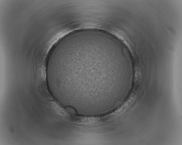 X0000113140973200909181726