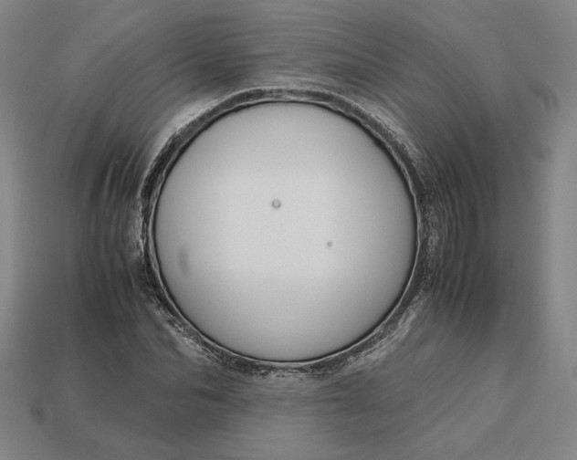 X0000113140974200909181726