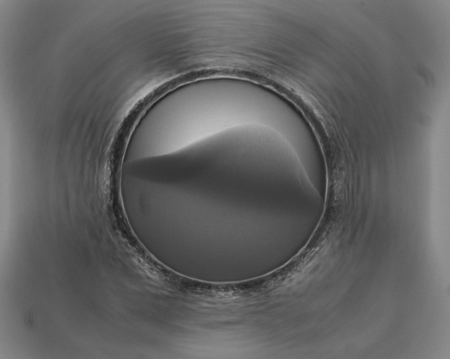 X0000113140975200909181726