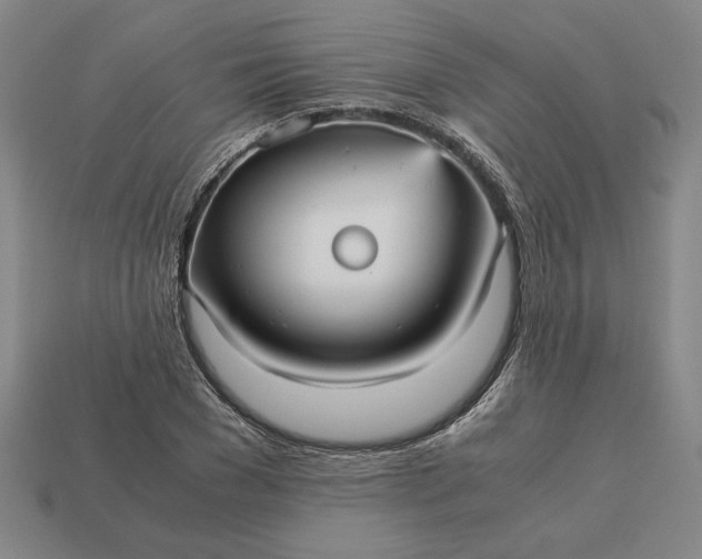 X0000113140977200909181726