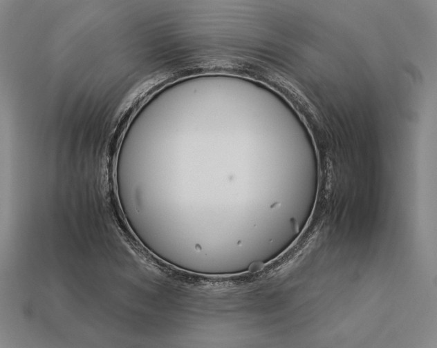 X0000113140978200909181726