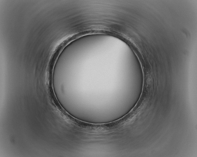 X0000113140979200909181726