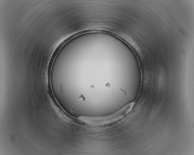 X0000113140980200909181726