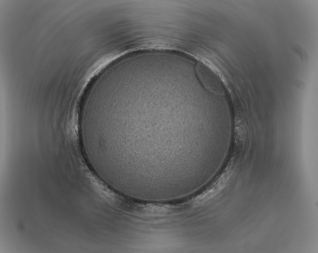 X0000113140981200909181726