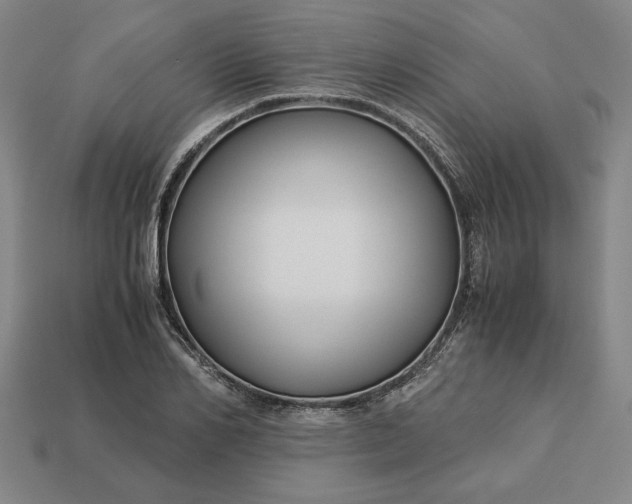 X0000113140982200909181726