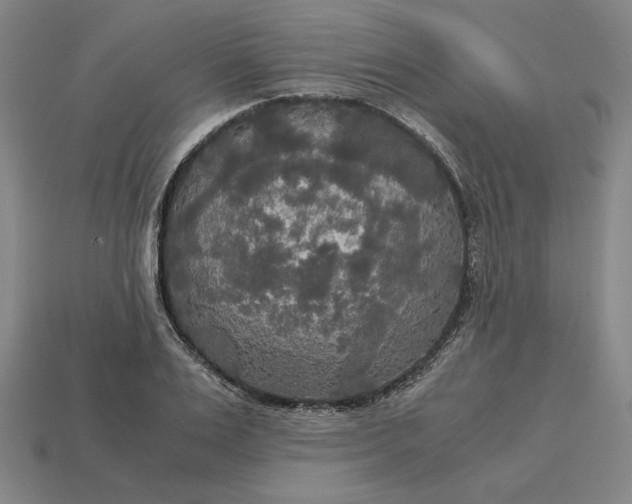 X0000113140983200909181726