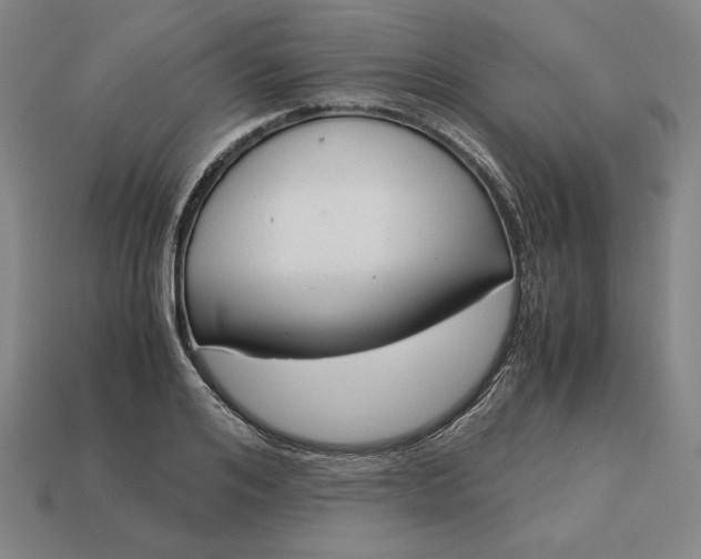 X0000113140984200909181726