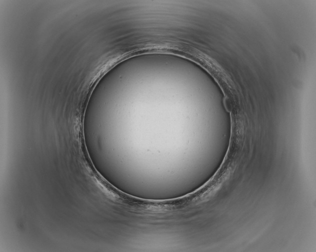 X0000113140985200909181726