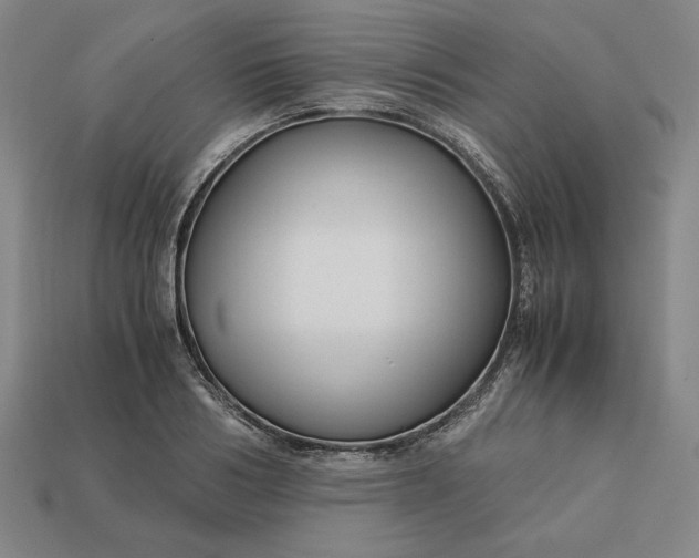 X0000113140986200909181726