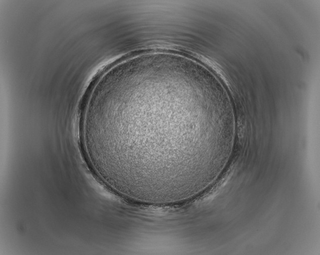 X0000113140987200909181726