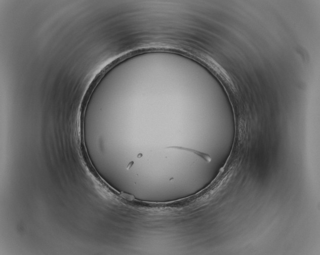 X0000113140988200909181726