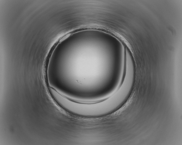 X0000113140989200909181726