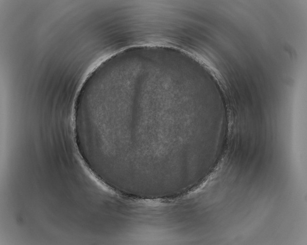 X0000113140990200909181726