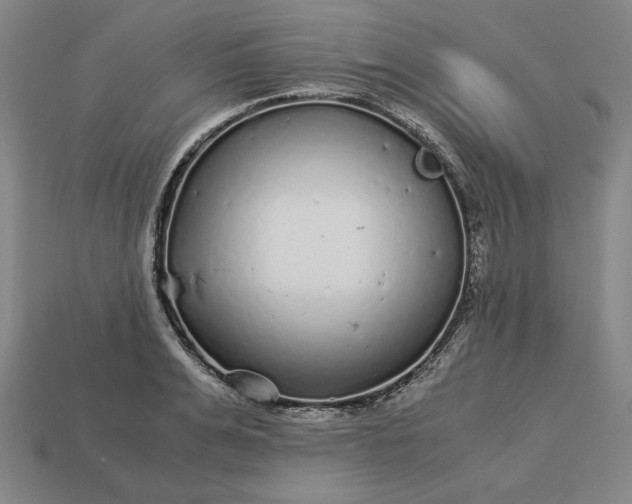 X0000113140991200909181726