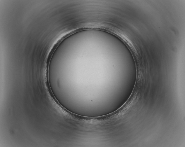 X0000113140992200909181726