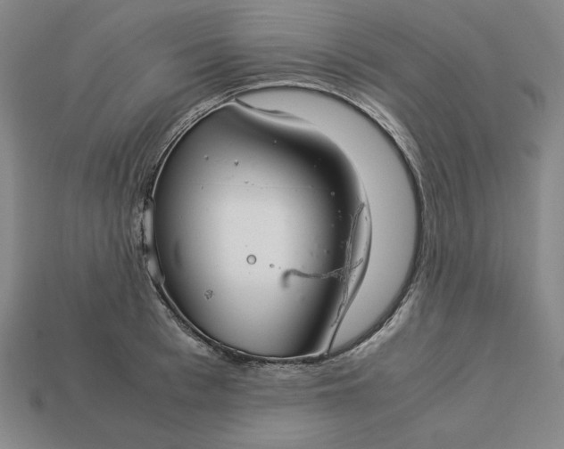 X0000113140993200909181726