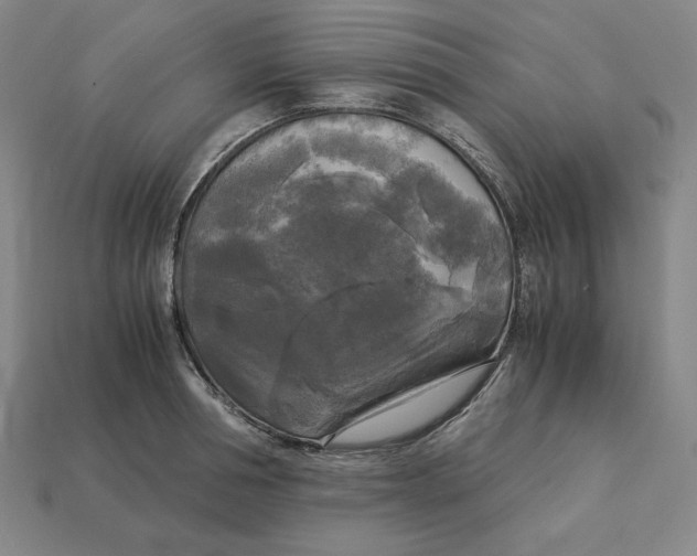 X0000113140994200909181726