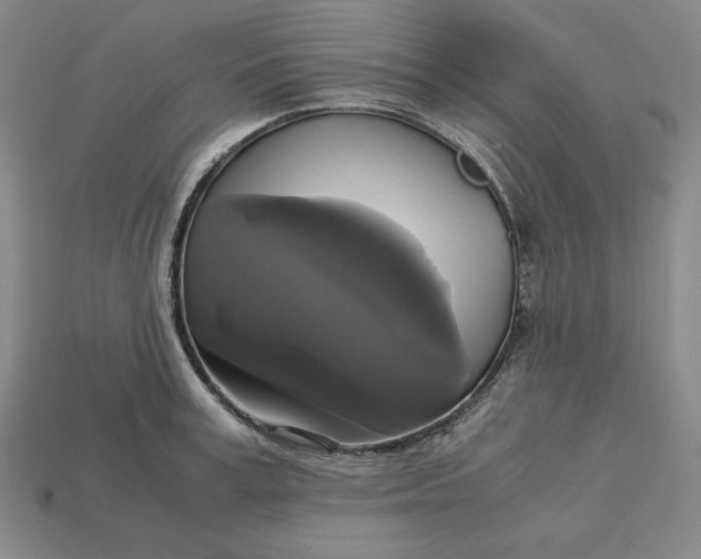 X0000113140995200909181726