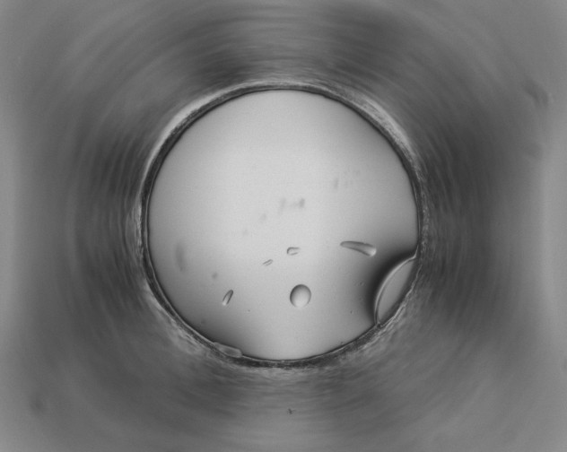 X0000113140996200909181726