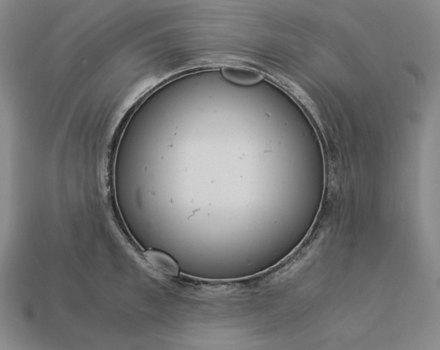 X0000113140997200909181726