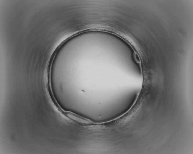 X0000113140999200909181726