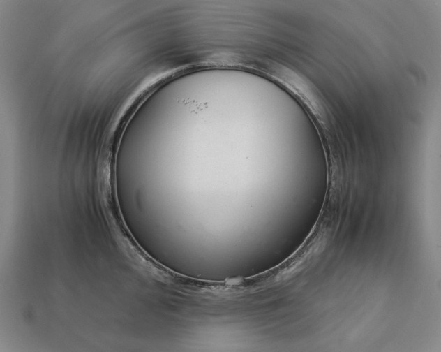 X0000113141000200909181726