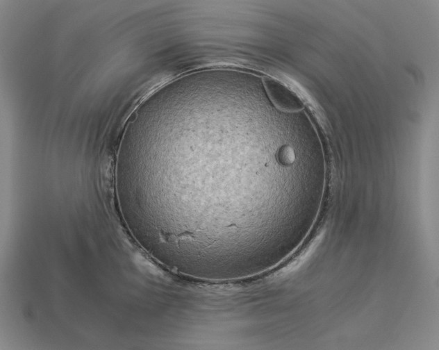 X0000113141001200909181726