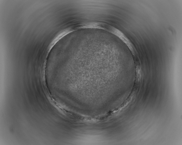 X0000113141002200909181726