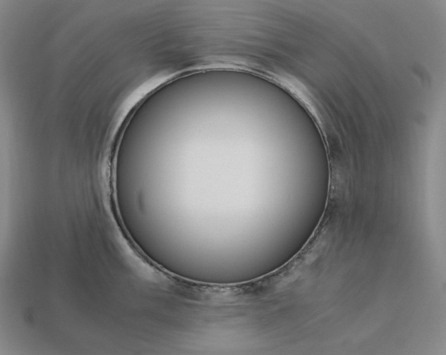 X0000113141003200909181726