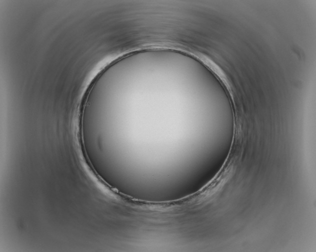 X0000113141005200909181726