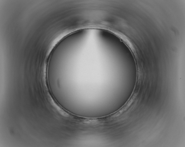 X0000113141006200909181726