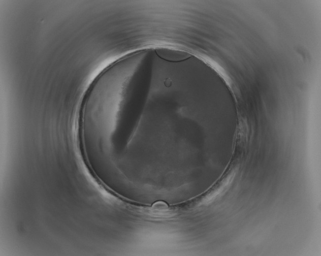 X0000113141007200909181726