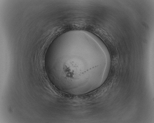 X0000113141009200909181725