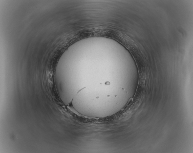 X0000113141010200909181725