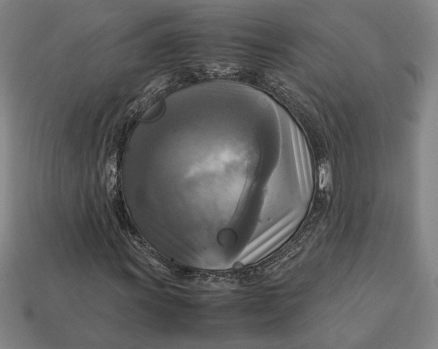 X0000113141011200909181725