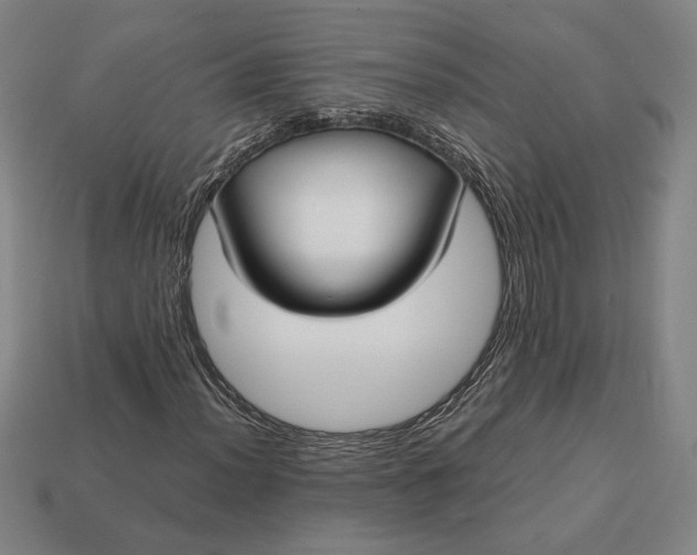 X0000113141012200909181725