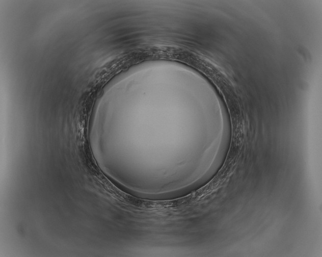 X0000113141013200909181725