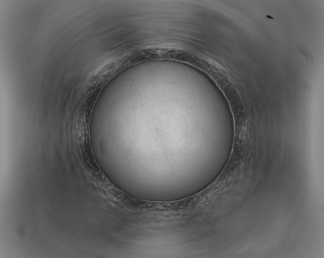 X0000113141014200909181725