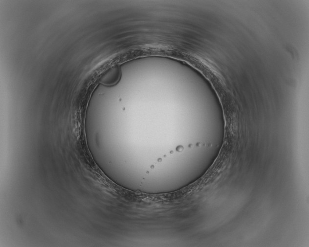 X0000113141015200909181725