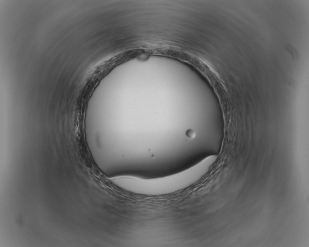 X0000113141016200909181725