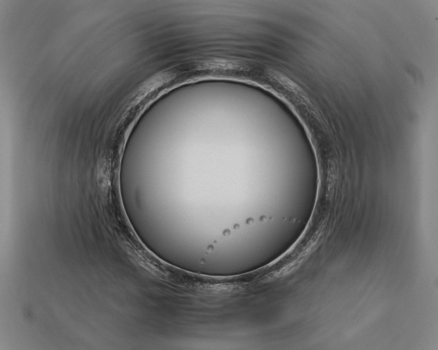 X0000113141017200909181725