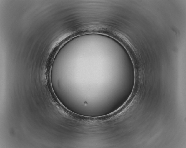 X0000113141018200909181725