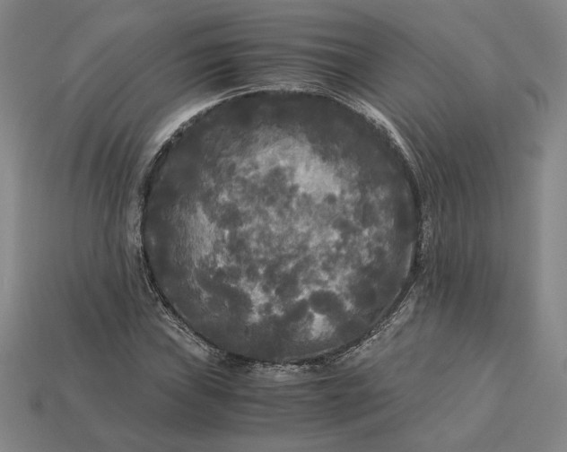 X0000113141019200909181725