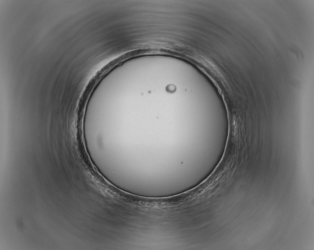 X0000113141020200909181725