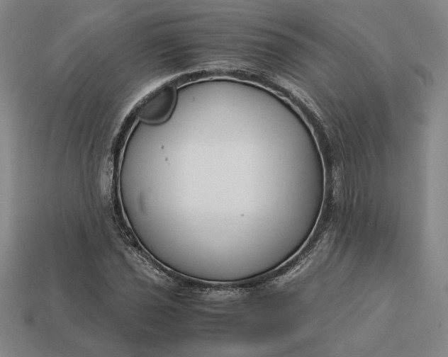 X0000113141021200909181725